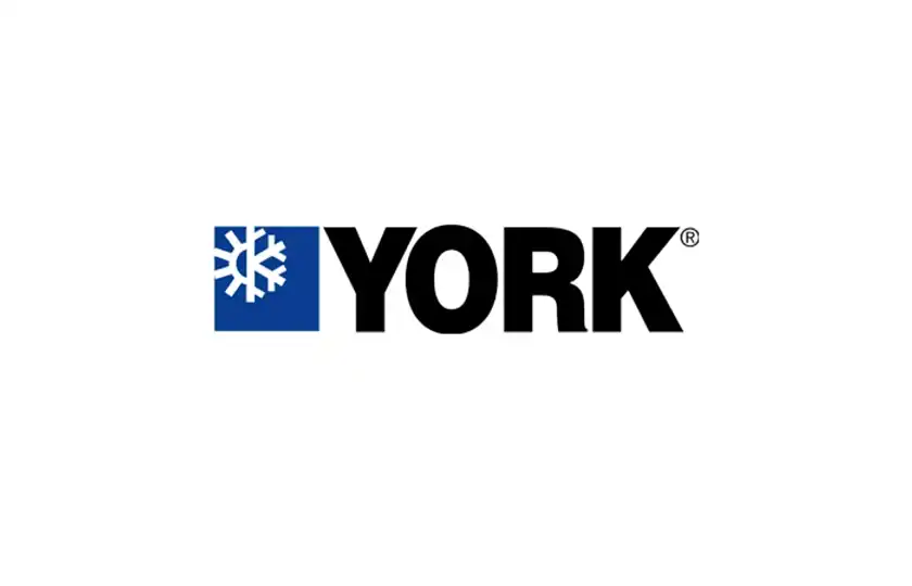Sektörü / Firma Adı
